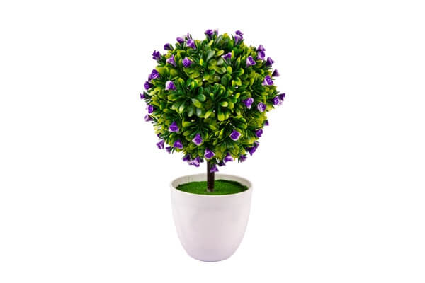 Tiny Purple Flower Pot