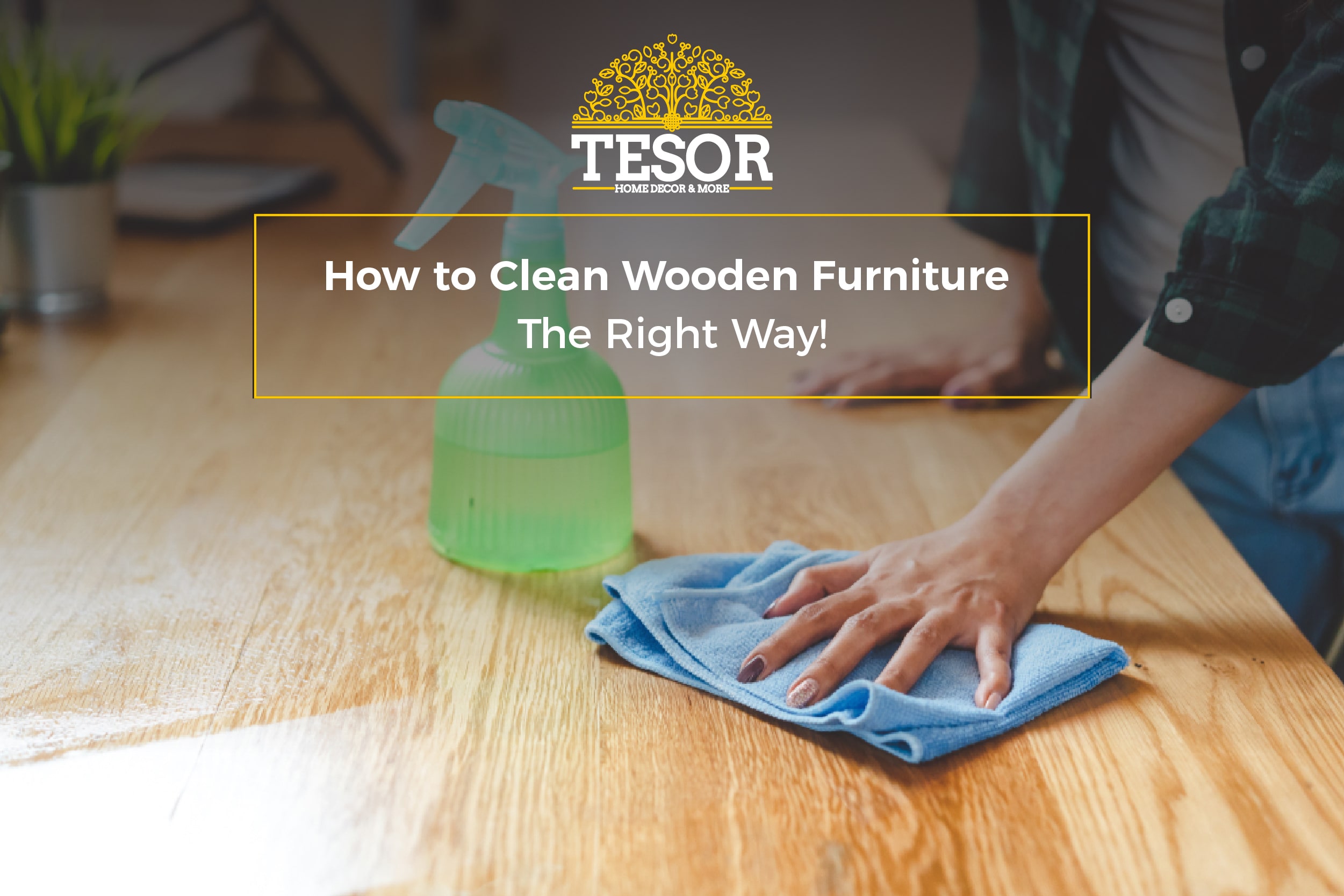 how-to-clean-your-furniture-at-home-tesor